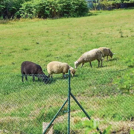 Luxusni S Empirovymi Freskami V Centru Caslavi *