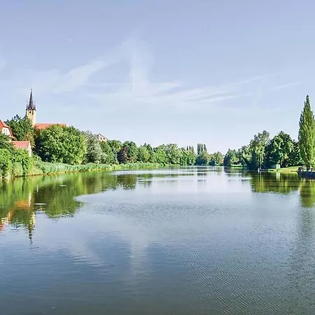 Luxusni S Empirovymi Freskami V Centru Caslavi Apartament Čáslav