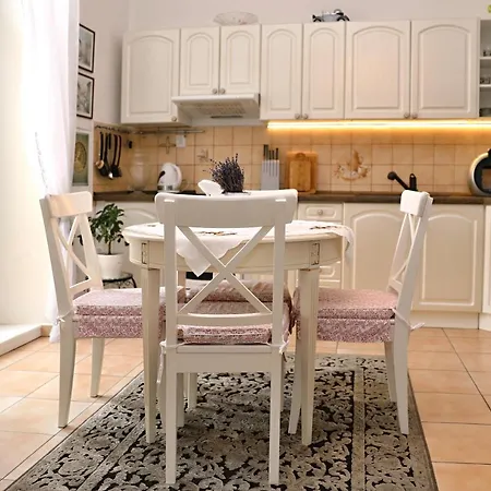 Luxusni S Empirovymi Freskami V Centru Caslavi 아파트