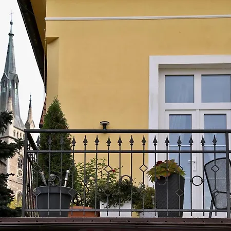 Luxusni S Empirovymi Freskami V Centru Caslavi Caslav