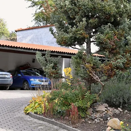 Luxusní S Empírovými Freskami V Centru čáslavi Apartmán *