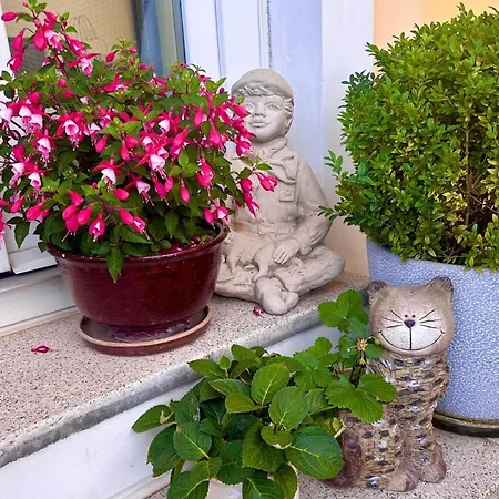 Luxusni S Empirovymi Freskami V Centru Caslavi Apartament *