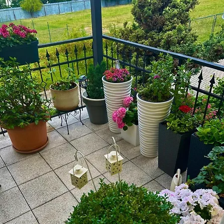 Luxusni S Empirovymi Freskami V Centru Caslavi Čáslav