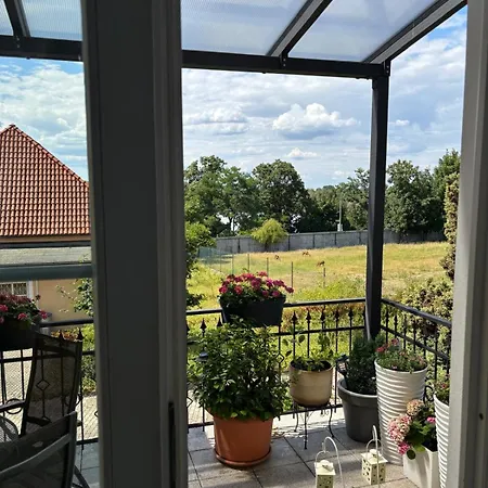 Luxusni S Empirovymi Freskami V Centru Caslavi Čáslav