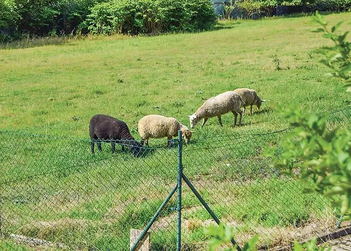 Luxusni S Empirovymi Freskami V Centru Caslavi *