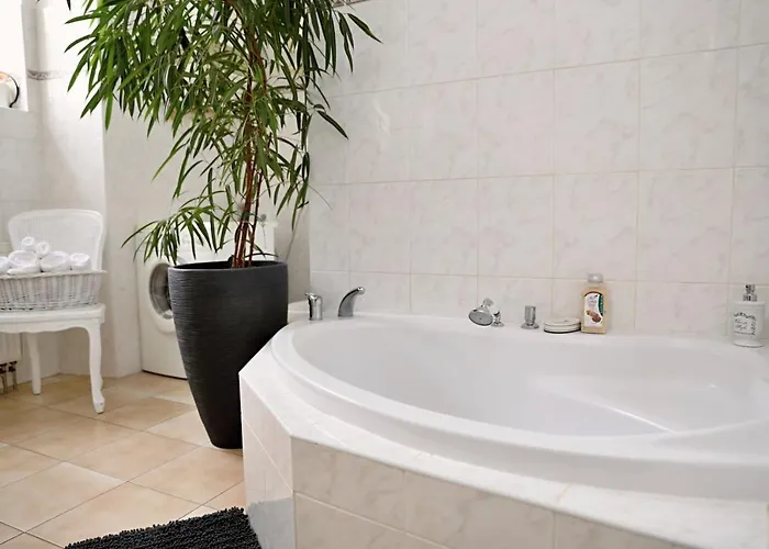 Luxusni S Empirovymi Freskami V Centru Caslavi