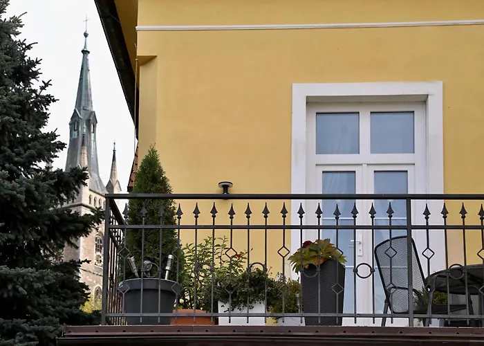 Luxusni S Empirovymi Freskami V Centru Caslavi Caslav