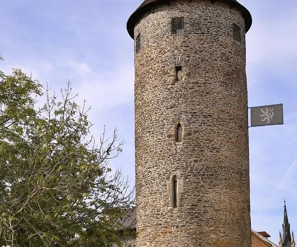 Lejlighed Luxusni S Empirovymi Freskami V Centru Caslavi