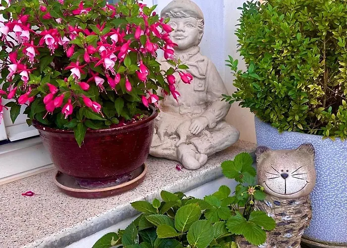 Luxusni S Empirovymi Freskami V Centru Caslavi Apartment *